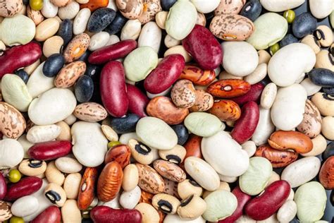 Heirloom Beans: Varieties, Benefits and the Best Recipes