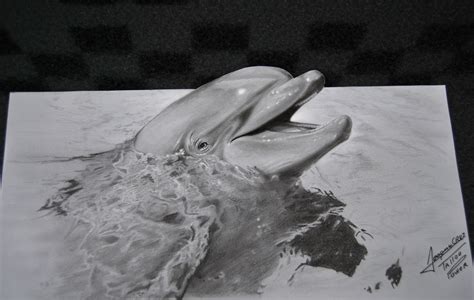 Realistic 3D draw dolphin - Pencil Desenho 3D realista golfinho - Lápis | Joaquim Cruz Draws ...