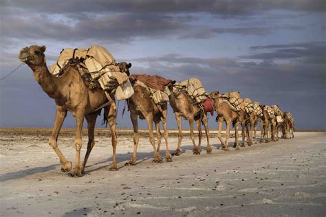 Ethiopia Ancient Abyssinia | Adventure Associates