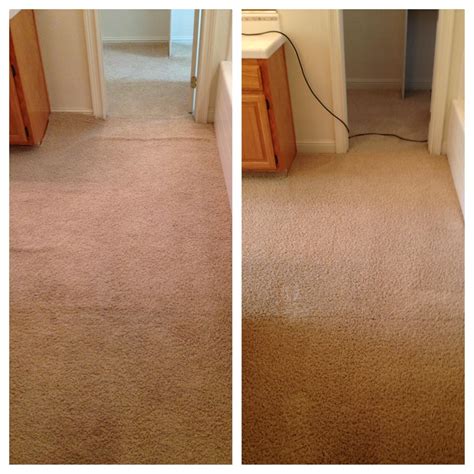 Folsom Carpet Cleaning Archives | Carters Carpet Restoration