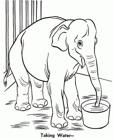 20+ Free Printable Zoo Coloring Pages - EverFreeColoring.com