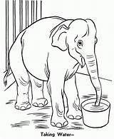 20  Free Printable Zoo Coloring Pages EverFreeColoringcom sketch template