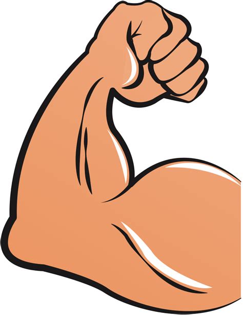 Clipart hand muscular, Clipart hand muscular Transparent FREE for download on WebStockReview 2023