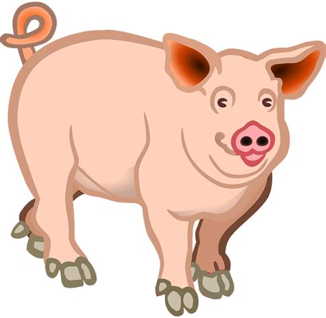 Pig clipart. Free download transparent .PNG | Creazilla