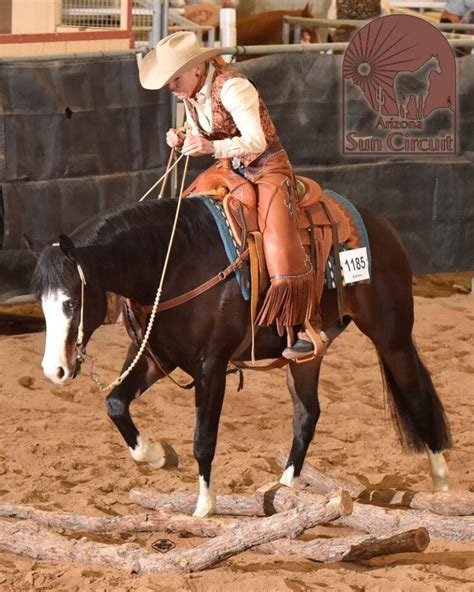 Learn To Win at Ranch Riding - Show Horse Today