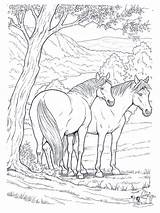 Free Printable Horse Coloring Pages For Kids sketch template