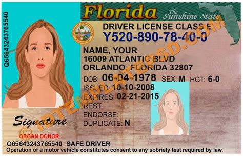 Template Florida Drivers License, Buy Fake Florida Drivers License Fully Editable Photoshop ...