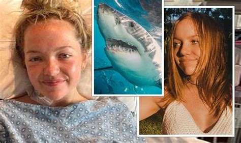 Shark attack horror as teenager 'punches' 9ft beast after watching documentary | Nature | News ...