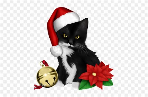 Free Cat Christmas Cliparts, Download Free Cat Christmas Cliparts png ...