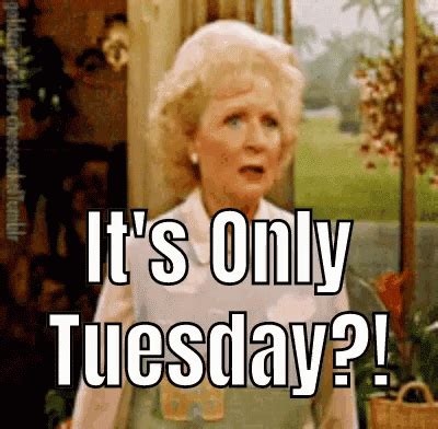 Tuesday Rose GIF - Tuesday Rose TheGoldenGirls - Discover & Share GIFs