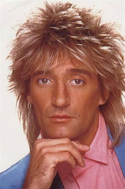 Rod Stewart Hair Dye | Queryme