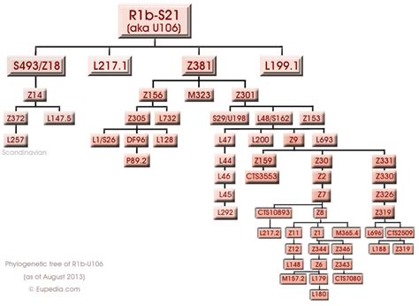 Haplogroup R1b (Y-DNA)