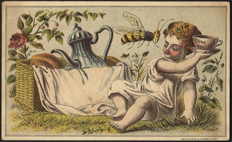 Ozama Coffee [front] | File name: 10_03_000506a Binder label… | Flickr