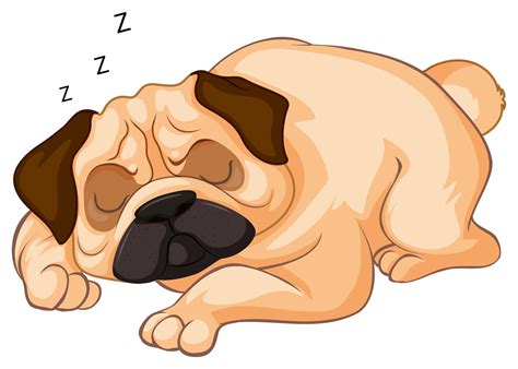 Petit chien dort sur fond blanc 300948 Art vectoriel chez Vecteezy