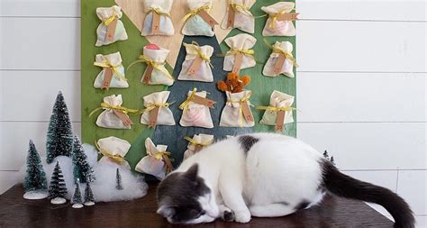 Count Down to Christmas With This DIY Cat Advent Calendar | BeChewy