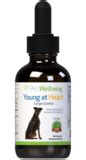 Young at Heart for Dog Heart Disease - PetWellBeing.com