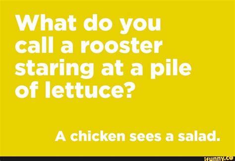 What do you call a rooster staring ata pile of lettuce? A chicken sees a salad. - iFunny