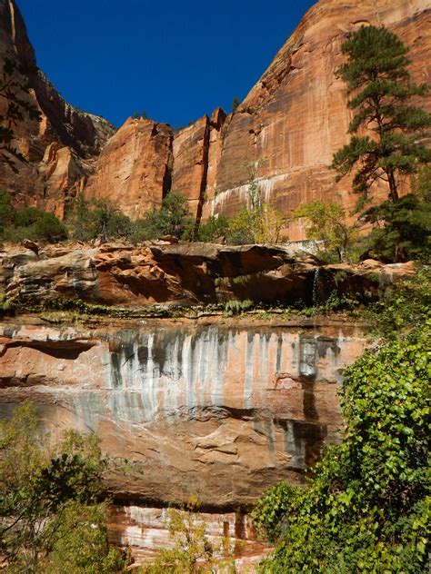 High view into the Lower Emerald Pools - Emerald Pools - Zion - Road ...