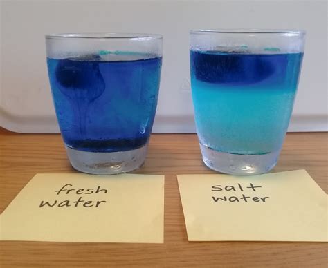 Hot And Cold Water Density Experiment