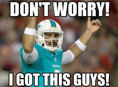 Matt Moore is now the starter! GO DOLPHINS! | Miami dolphins ...