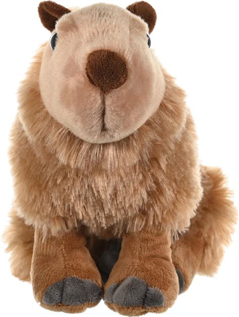 Wild Republic Capybara Plush, Stuffed Animal, Plush Toy, Gifts for Kids ...