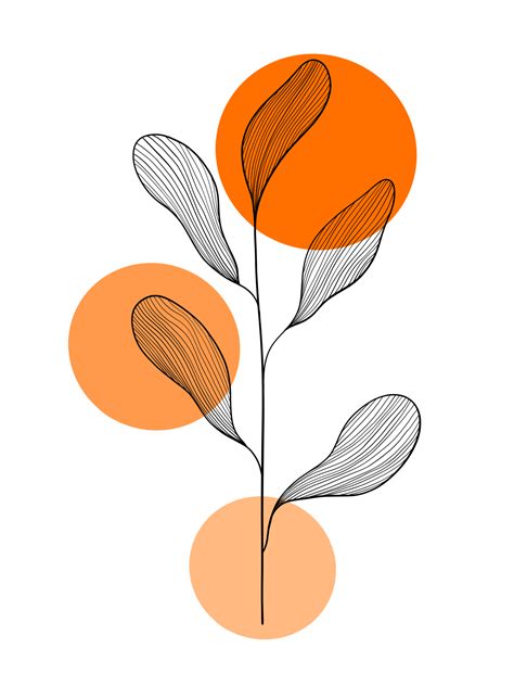 Free Botanical line art with orange circle shapes. Nature. 13521443 PNG with Transparent Background