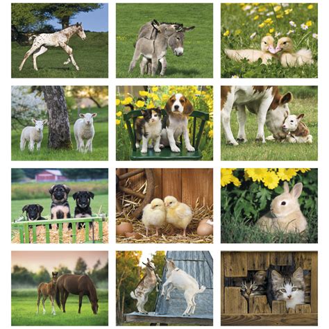 2025 Baby Farm Animals Calendar | 11" X 19" Imprinted Staple Bound; Drop Ad Imprint Calendars