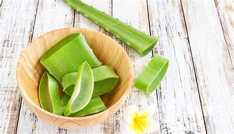 Aloe Vera For Skin Whitening: Is It Effective - Globo Surf