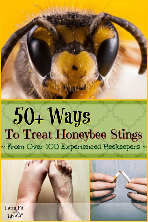 ways to treat honeybee stings Honey Bee Sting, Honey Bees, Bee Sting Swelling, Remedies For Bee ...