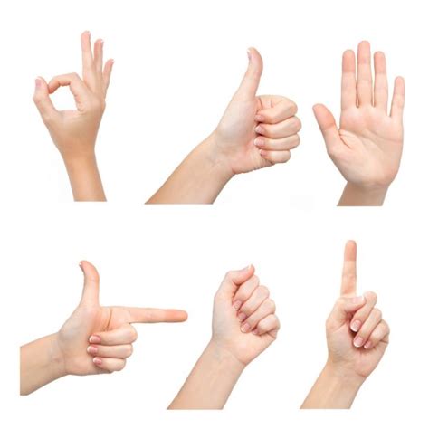 Set of different hand gestures — Stock Photo © Steffus #8049104