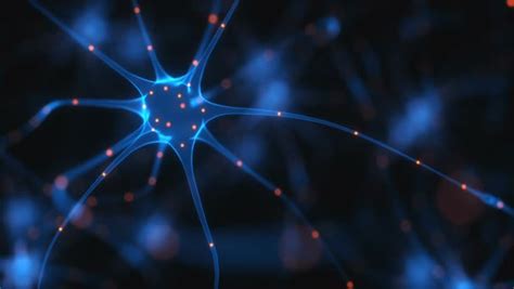 Neuron animation. Neurons are nerve cells that send and receive signals in the brain and out ...