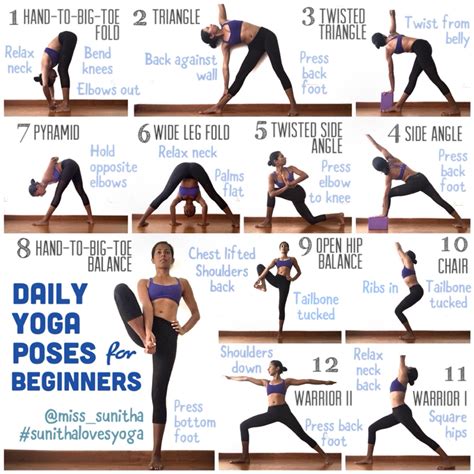 Daily yoga poses for beginners. @miss_sunitha #sunithalovesyoga | Basic ...