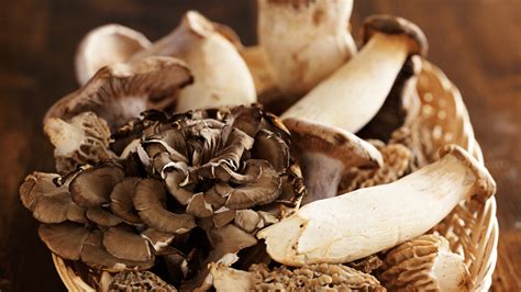 Functional Mushrooms: The Top Varieties and Health Benefits