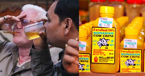 India's Biggest Retailers Are Lining Up To Sell Cow Urine, You Can Even ...