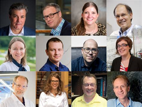 All a Board! Meet Our North American Editors, Board Members, and Chairs in 2019 – RSC Americas Blog