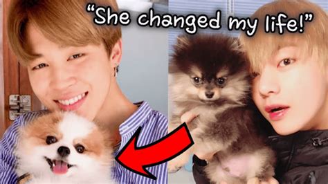 All about BTS' Pets! Introducing BTS' New Family - YouTube