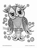 Cute owl  Owls Adult Coloring Pages sketch template