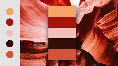 Create color palette from image photoshop - leryremote