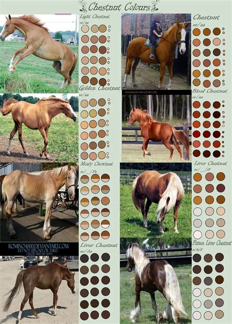 Chestnut Horse Colours by EdithSparrow on DeviantArt | Chestnut horse, Horse coloring, Horse ...