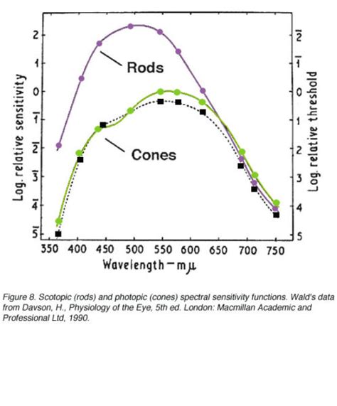 rods-cones-night-vision-color - Survival Skills Guide