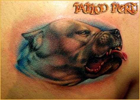 Pitbull Face Tattoo On Chest - 2015 Best Tattoos Show | Face tattoo ...