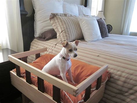 Dog Beds In The Philippines at Reginald Walker blog