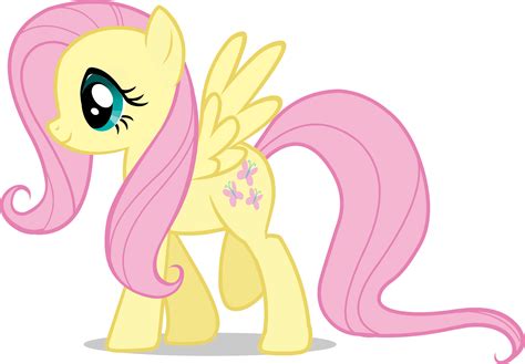 Image - AiP Fluttershy.png | My Little Pony Friendship is Magic Wiki ...