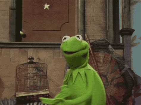 Muppets Muppet Show GIF - Muppets Muppet Show Kermit - Discover & Share ...