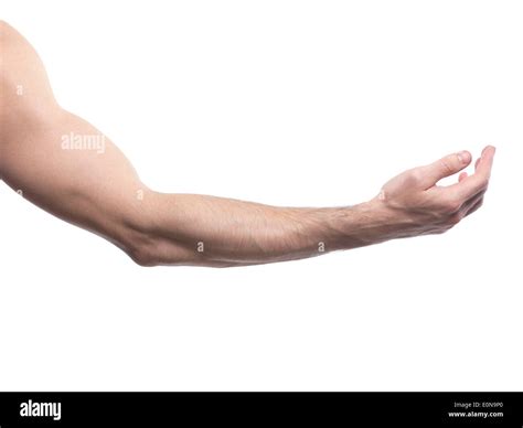 Man arm bent at an elbow with open palm facing up isolated on white ...