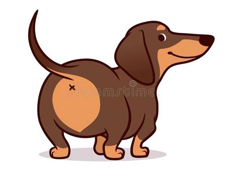 Cute wiener sausage dog cartoon illustration isolated on white. Simple ...