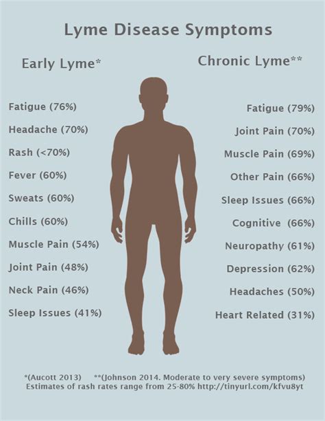 Symptoms of Lyme Disease | LymeDisease.org