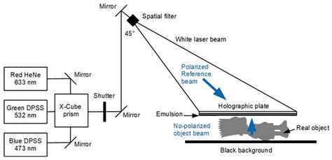 Full-color single-beam reflection Denisyuk hologram setup | Download ...