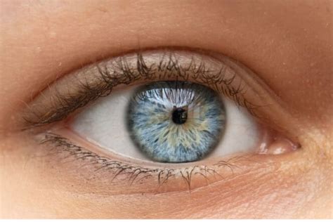 Miosis (Constricted Pupils): Causes and When to See a Doctor | MyVision.org