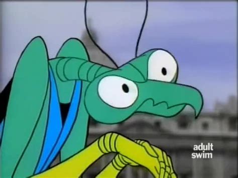 YARN | I, zorak! | Space Ghost Coast to Coast (1994) - S01E07 Comedy ...